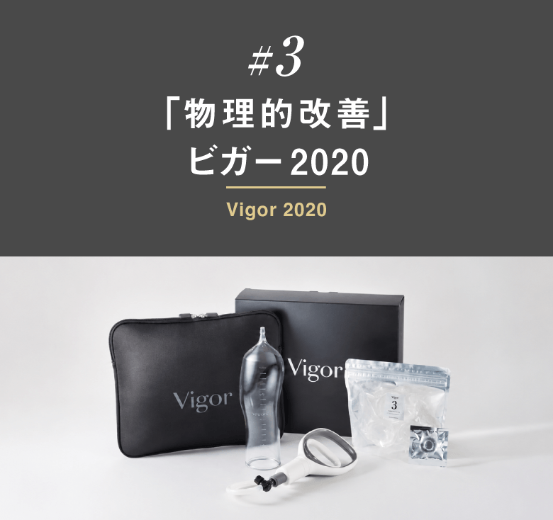 「物理的改善」ビガー2020
