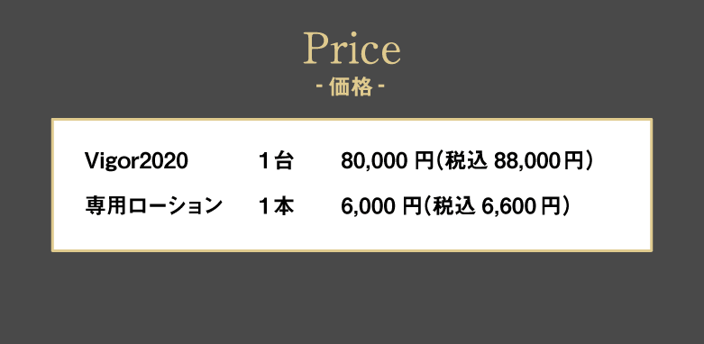 ビガー2020価格