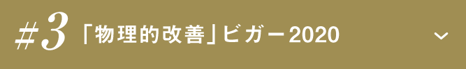 #3「物理的改善」ビガー2020へのリンクボタン